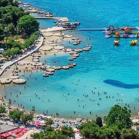 Tina Vodice
